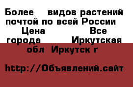 Более200 видов растений почтой по всей России › Цена ­ 100-500 - Все города  »    . Иркутская обл.,Иркутск г.